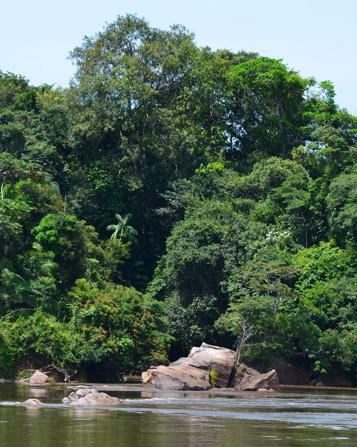 Amazonía